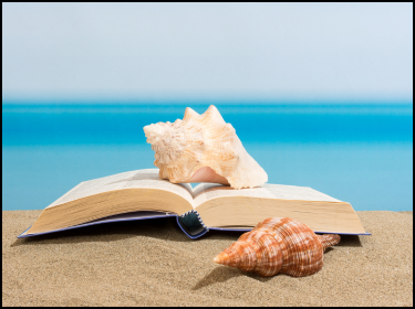 beach with book